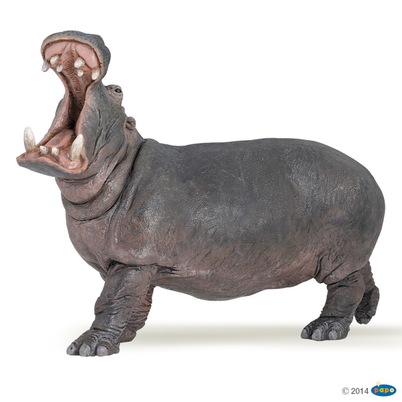 Hippopotame Figurine Papo La vie sauvage