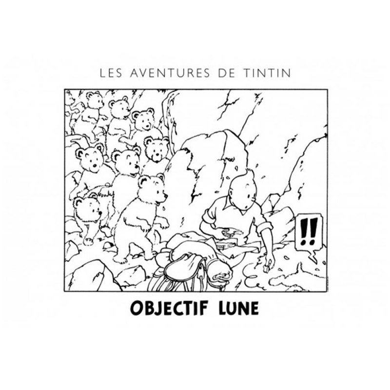 Poster Tintin avec oursons
