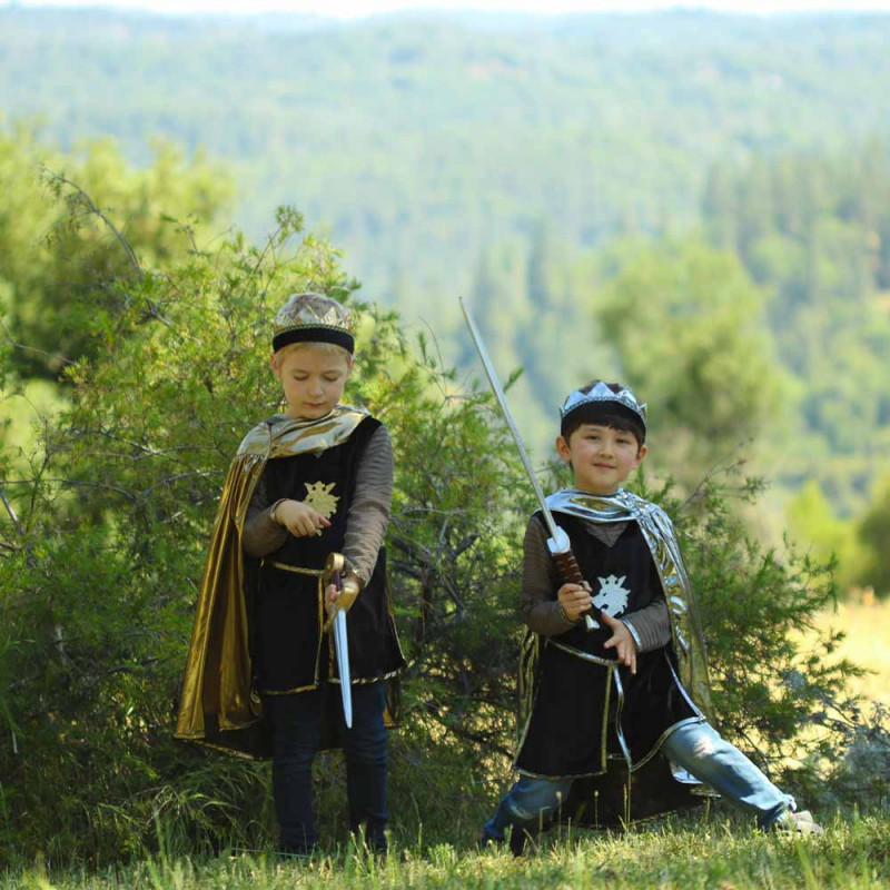 Deux garçons avec costume chevalier argent et doré