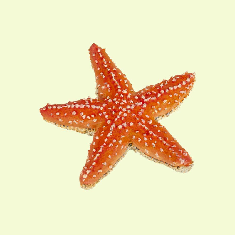 Figurine étoile de mer Papo 56050