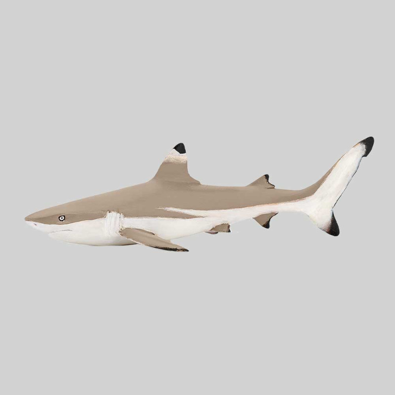 Figurine requin à pointe noire de Papo 56034