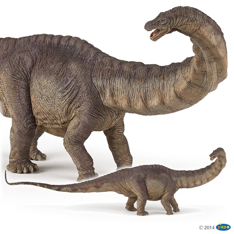 Apatosaure - Figurine plastique Dinosaure Papo