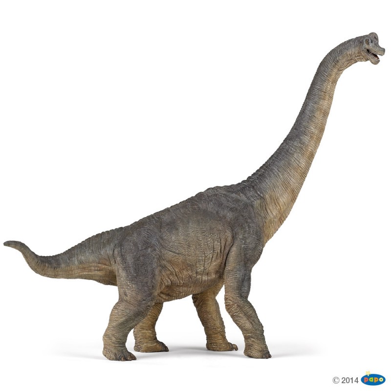 Brachiosaure - Figurine Dinosaure Papo 55030