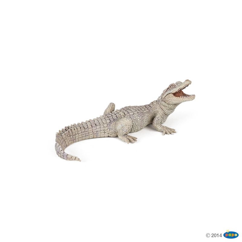 Bébé crocodile blanc figurine Papo