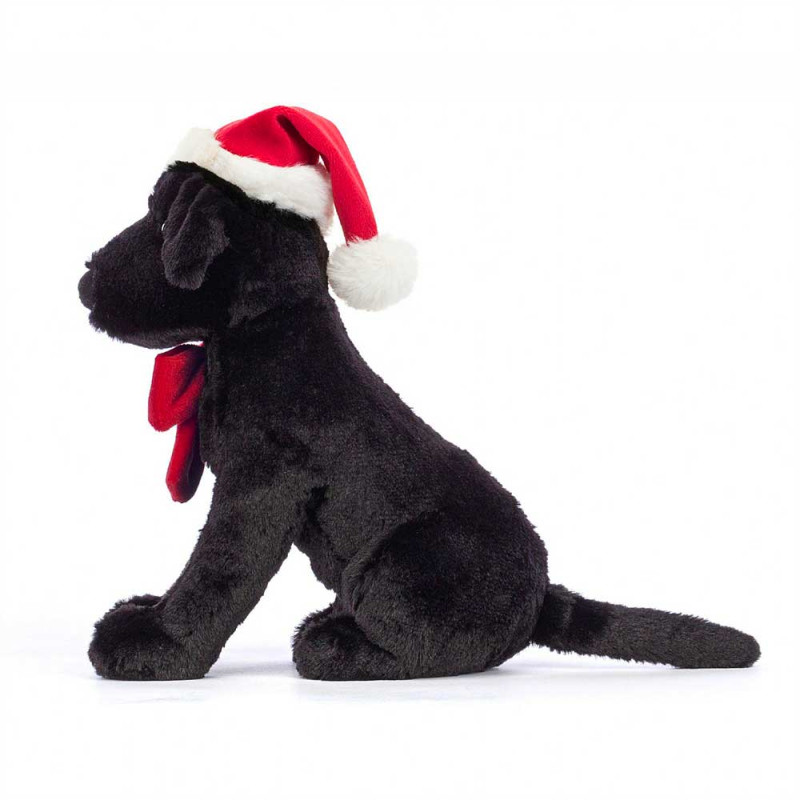 Labrador de Noël