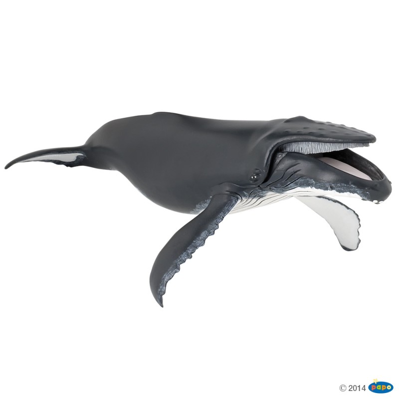 Baleine à bosse figurine Papo - L'univers marin
