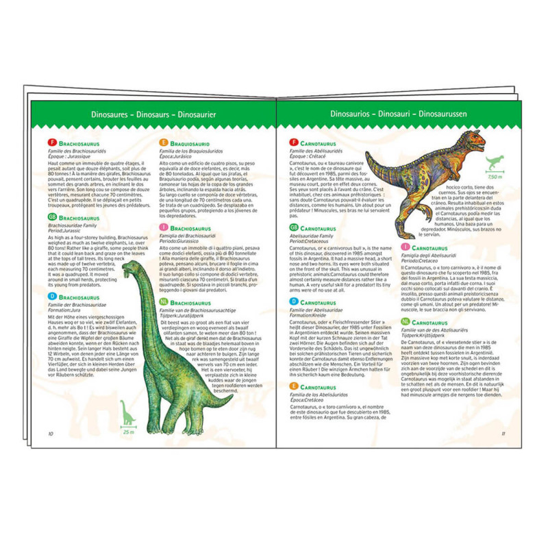 Livret explicatif sur les différentes espèces de l'ère Jurassique.