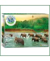 Puzzle Forêt tropicale & éléphants - 1000 pièces - Eurographics